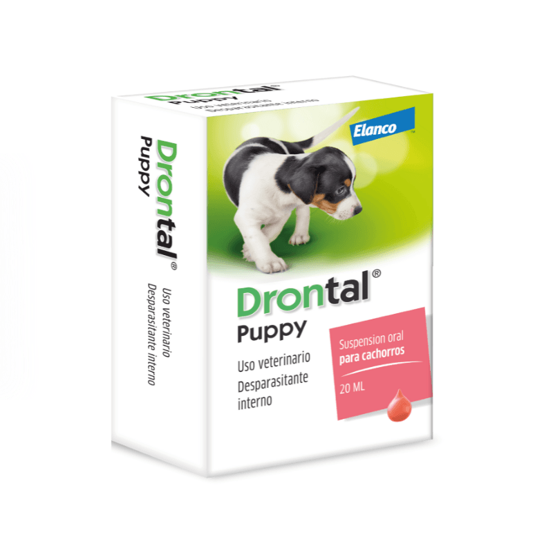 Drontal puppy
