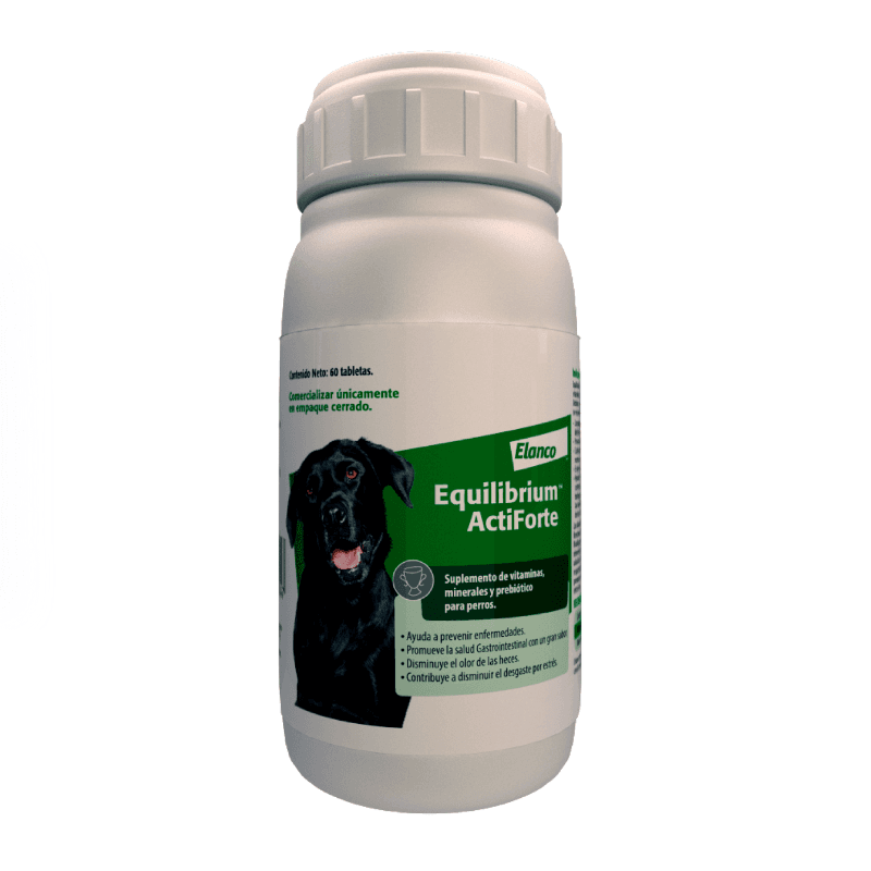 Equilibrium Actiforte