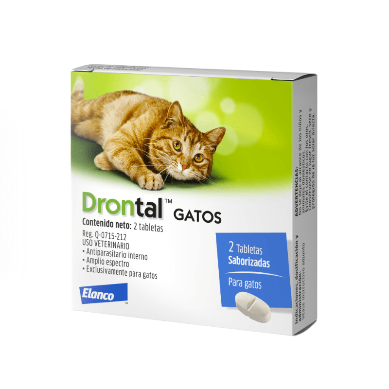 Drontal gatos