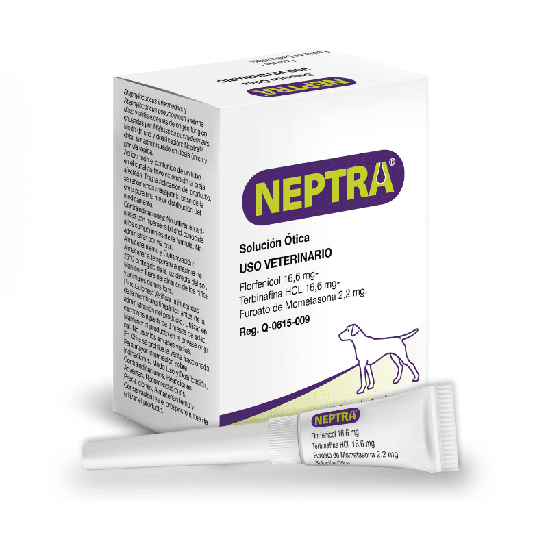 Neptra