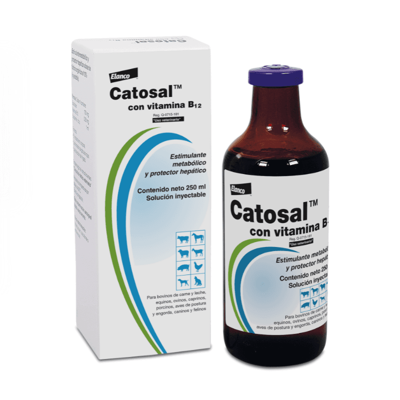 Catosal