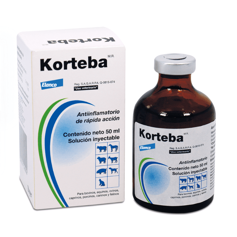 Korteba