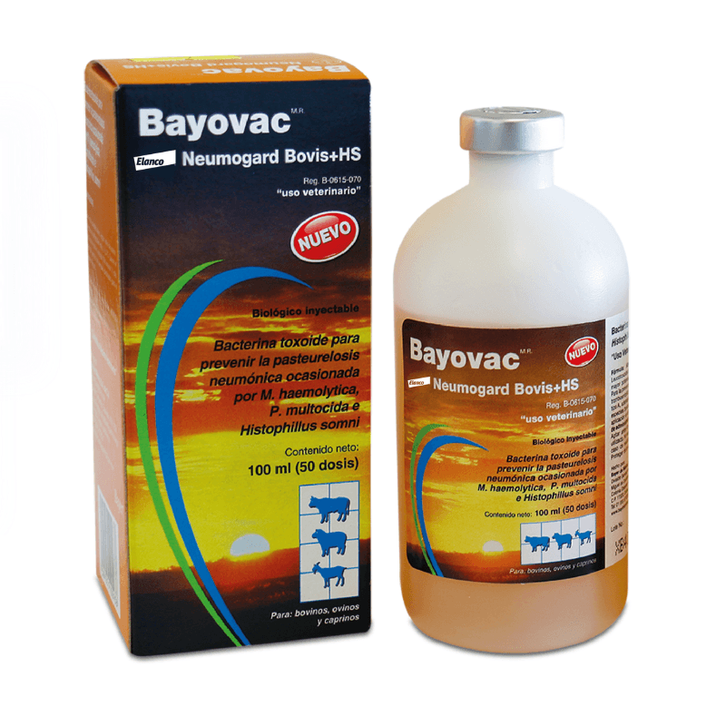 Bayovac BRSV Vac 5