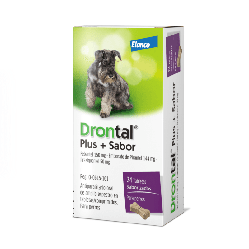 Drontal plus perro de 10kg